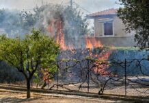 Ολοκληρώθηκε η βασική φάση της καταγραφής ζημιών από τις πυρκαγιές σε Αττική και Κορινθία