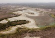 Η μεγαλύτερη μόνιμη λίμνη του εθνικού πάρκου στην Ντονιάνα της Ισπανίας έχει ξεραθεί τελείως για δεύτερο καλοκαίρι