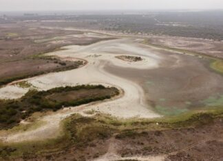 Η μεγαλύτερη μόνιμη λίμνη του εθνικού πάρκου στην Ντονιάνα της Ισπανίας έχει ξεραθεί τελείως για δεύτερο καλοκαίρι