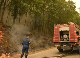 Από σήμερα οι αιτήσεις οικονομικής ενίσχυσης των πυρόπληκτων του δήμου Αλεξανδρούπολης – Μάχη με τις αναζωπυρώσεις σε Έβρο και Ροδόπη
