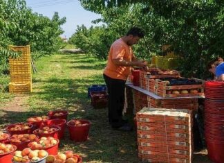 Αγώνας δρόμου για να πληρωθούν οι αγρότες από τον ΟΠΕΚΕΠΕ