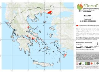 Πυρκαγιές: Κάηκαν 1,7 εκατ. στρέμματα σε 67 δασικές πυρκαγιές από την αρχή του έτους, τα 1,2 εκατ. τον Αύγουστο