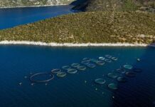 Νέο θεσμικό πλαίσιο για επισκέψιμες υδατοκαλλιέργειες στην Ελλάδα