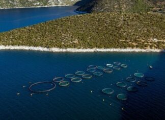 Νέο θεσμικό πλαίσιο για επισκέψιμες υδατοκαλλιέργειες στην Ελλάδα
