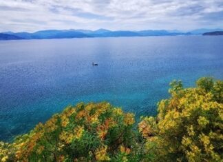 Με σχεδόν ανοιξιάτικες θερμοκρασίες τον… Ιανουάριο θα υποδεχθεί η Ελλάδα το νέο έτος