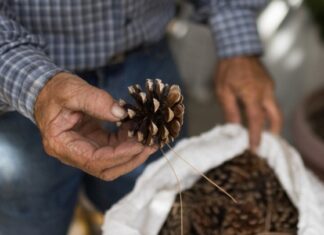Οδοιπορικό στα Πιέρια Όρη – Ένας χειμώνας γεμάτος ιστορίες, μαγειρέματα, τσίπουρο και καλή καρδιά στα χωριά της Δ.Ε. Μακεδονίδος