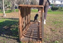 Το πρώτο πάρκο σκύλων με ανακυκλώσιμα υλικά στον δήμο Καλαμαριάς