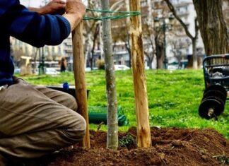 Θεσσαλονίκη: Το πρώτο βρώσιμο δάσος «γεννιέται» στη Νεάπολη με 750 δέντρα