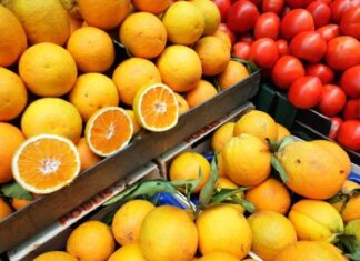 Ανοικτά τα καταστήματα χονδρικής πώλησης φρούτων και κηπευτικών στην Κεντρική Αγορά Αθηνών την Τρίτη