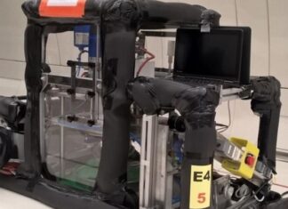 Οι διαστημικές τηγανητές πατάτες του ΑΠΘ προβάλλονται στην ανασκόπηση του Ευρωπαϊκού Οργανισμού Διαστήματος