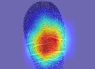 Τεχνητή νοημοσύνη δείχνει ότι τα δακτυλικά αποτυπώματα του ίδιου ατόμου είναι πιο όμοια από όσο νομίζαμε