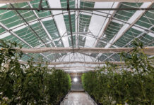 Αγροβολταϊκά: Αύξηση Παραγωγής και Εξοικονόμηση ενέργειας, γης και φυσικών πόρων