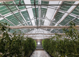 Αγροβολταϊκά: Αύξηση Παραγωγής και Εξοικονόμηση ενέργειας, γης και φυσικών πόρων