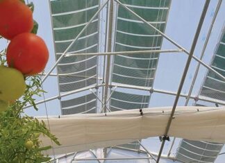 Αγροβολταϊκά: Συνδυάζοντας την παραγωγή τροφίμων με την παραγωγή ενέργειας