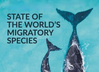 Έκθεση του ΟΗΕ προειδοποιεί ότι αυξάνεται ο κίνδυνος εξαφάνισης των μεταναστευτικών ειδών άγριων ζώων