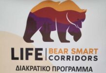 Καλαμπάκα: Δημιουργείται Κοινότητα «Έξυπνης» Συνύπαρξης, για ενίσχυση της καφέ αρκούδας