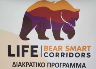 Καλαμπάκα: Δημιουργείται Κοινότητα «Έξυπνης» Συνύπαρξης, για ενίσχυση της καφέ αρκούδας