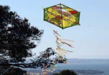 Τα Κούλουμα στους δήμους της Αττικής