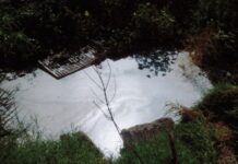 Λίμνη Κορώνεια: Το οικοσύστημα που δοκιμάζεται τα τελευταία 30 χρόνια