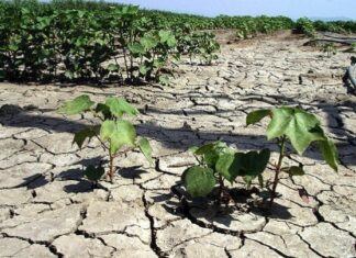 Συνθήκες ξηρασίας στο μεγαλύτερο μέρος της ανατολικής ηπειρωτικής Ελλάδας – Ποιες περιοχές κινδυνεύουν με ερημοποίηση