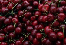 Στην αγορά τα πρώιμα κεράσια της Φθιώτιδας – Τσουχτερές οι τιμές για τους καταναλωτές
