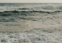 Σεμινάρια αλιευτικού τουρισμού διοργάνωσε για τους επαγγελματίες αλιείς η Περιφέρεια Κρήτης