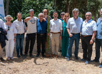 Δεκάδες νέα δέντρα στο άλσος Ευελπίδων, μετά από συνεργασία ΕΕΑ, Δήμου Αθηναίων και We4All