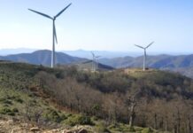 Πώς δύο μικροσκοπικές ανεμογεννήτριες μπορούν να είναι πιο αποτελεσματικές – Ο ρόλος τους στην αποκεντρωμένη ενέργεια