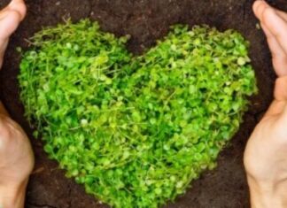 Αυξημένες οι δαπάνες για την υλοποίηση πρακτικών ESG από τις ελληνικές επιχειρήσεις