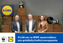 Διεθνής συνεργασία Lidl και WWF σε 31 χώρες