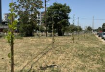 Θεσσαλονίκη: Σε χώρο πρασίνου «μεταμορφώθηκε» μπαζότοπος στη δυτική είσοδο της πόλης