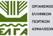 ΕΛΓΑ: Την Πέμπτη η πίστωση 70 εκατ. ευρώ για την εξόφληση των πληγέντων από τις θεμονηνίες “Daniel” και “Elias”