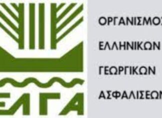 ΕΛΓΑ: Την Πέμπτη η πίστωση 70 εκατ. ευρώ για την εξόφληση των πληγέντων από τις θεμονηνίες “Daniel” και “Elias”