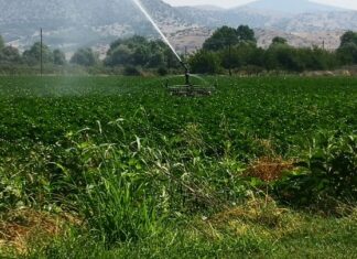 Ανάγκη για έργα διαχείρισης νερού στη Θεσσαλία – Η κλιματική κρίση δεν δίνει περιθώρια αναβολών