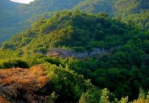 Σύστημα τεχνητής νοημοσύνης καταγράφει τις καθημερινές αλλαγές στο έδαφος σε παγκόσμιο επίπεδο