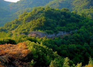 Σύστημα τεχνητής νοημοσύνης καταγράφει τις καθημερινές αλλαγές στο έδαφος σε παγκόσμιο επίπεδο