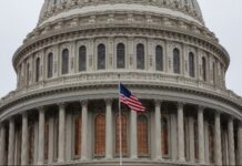 Ελληνοαμερικανοί φοιτητές λαμβάνουν επαγγελματική καθοδήγηση από επιφανείς ομογενείς