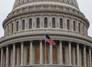 Ελληνοαμερικανοί φοιτητές λαμβάνουν επαγγελματική καθοδήγηση από επιφανείς ομογενείς