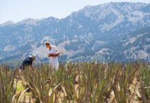 Η Κως ως ο ιδανικός προορισμός του ευ ζην