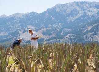 Η Κως ως ο ιδανικός προορισμός του ευ ζην