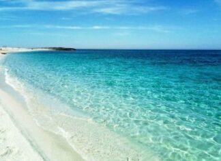 ΔΕΗ – project PARALIES: Συνεργασία για τον καθαρισμό και την προστασία των ελληνικών παραλιών για 4η χρονιά