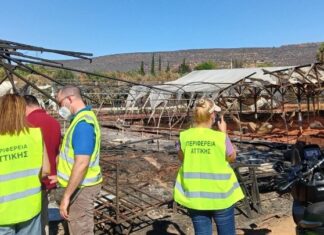 Ολοκληρώθηκαν οι αυτοψίες της Περιφέρειας Αττικής στις πυρόπληκτες επιχειρήσεις