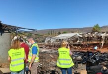 Πυρκαγιές στην Αττική: Άνοιξε η πλατφόρμα arogi.gov.gr για την πρώτη αρωγή για τους πληγέντες