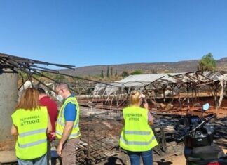 Πυρκαγιές στην Αττική: Άνοιξε η πλατφόρμα arogi.gov.gr για την πρώτη αρωγή για τους πληγέντες