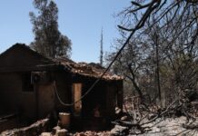 Tαμείο Aνακούφισης για τους πυρόπληκτους της Ελλάδας ιδρύει η Ιερά Αρχιεπισκοπή Αμερικής