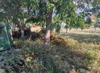 Πώς επηρέασαν οι καθαρισμοί των οικοπέδων την εξέλιξη των πυρκαγιών στην Αττική