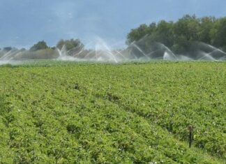 Αυξάνεται η βιολογική καλλιέργεια στην Ελλάδα – Κ. Τσιάρας: Ως κυβέρνηση δίνουμε προτεραιότητα στη βιολογική παραγωγή