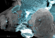 Ο ηλεκτρισμός στη μάχη κατά της διάβρωσης των ακτών