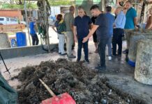 Αυτοψία στις μυδοκαλλιέργειες του Θερμαϊκού Κόλπου-Ολοκληρωτική καταστροφή