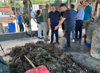 Αυτοψία στις μυδοκαλλιέργειες του Θερμαϊκού Κόλπου-Ολοκληρωτική καταστροφή